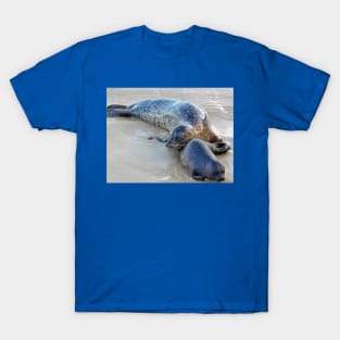 Snuggling seals T-Shirt